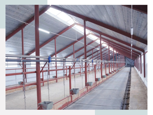 Строительство коровников в Барабинске от 609 руб.