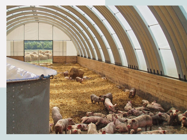 Строительство свинарников в Барабинске