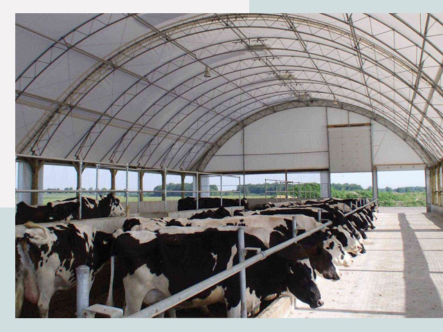 Тентовые коровники в Барабинске